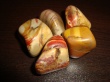 Versteinerstes Holz